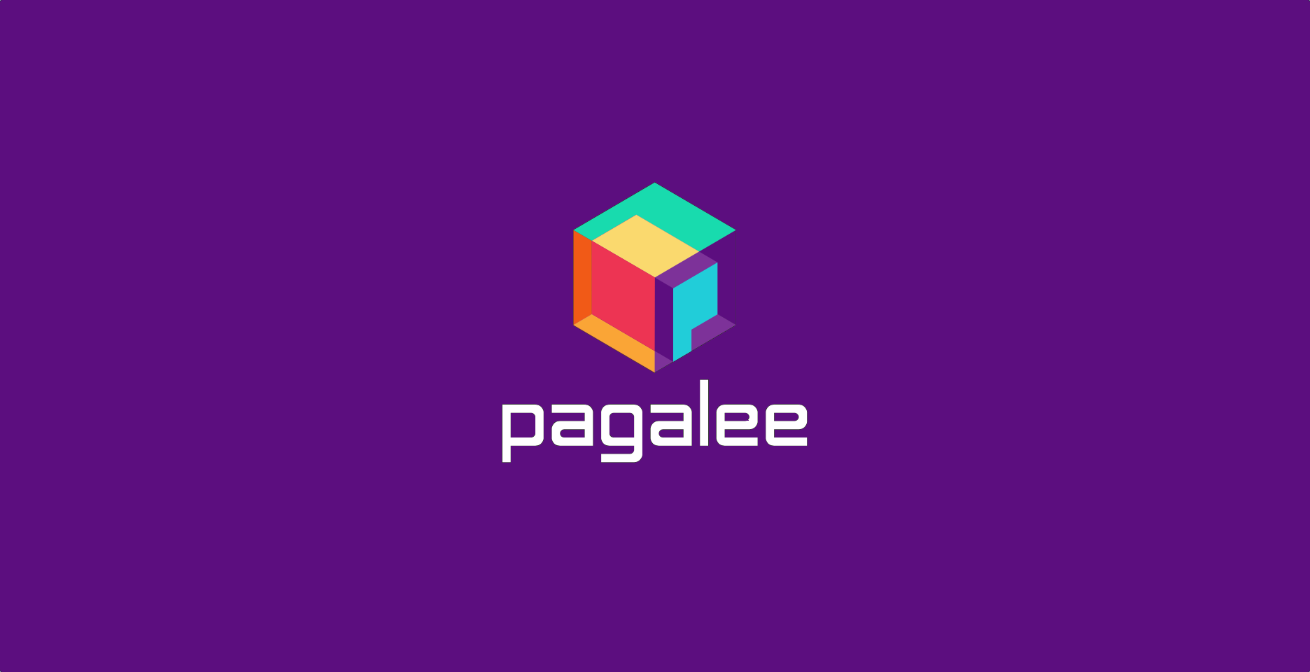 Pagalee Pay, maquininha para atendimentos e recebimentos